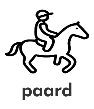 Paard rijden